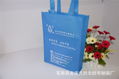 【供應(yīng)無紡布袋 展會無紡布袋 促銷無紡布袋 廣告宣傳無紡布袋】價格,廠家,圖片,無紡布袋,蒼南縣龍港方欣無紡布制袋廠-