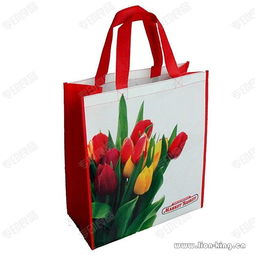 環保購物袋廠 無紡布廣告手提袋 廣州無紡布袋廠