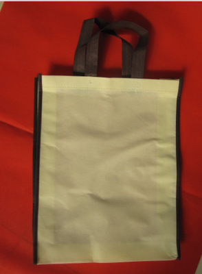 廠家定做環(huán)保背心無紡布袋，高密市晟鑫環(huán)保袋加工廠專業(yè)定制服務(wù)