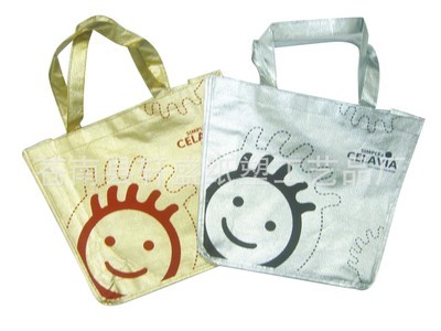 無紡布袋的種類、價格及廠家解析——以蒼南縣軒盛紙塑工藝品廠為例