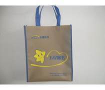 無紡布袋 綠色環保新選擇，產品庫里的多功能明星